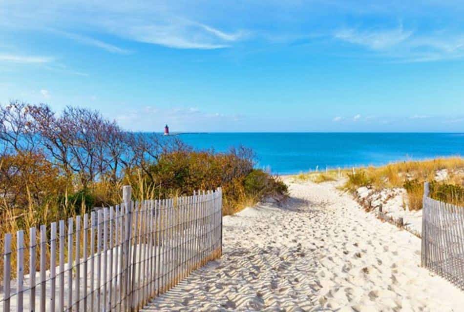 Beach path with fencing and small shrubs by a large body of water.